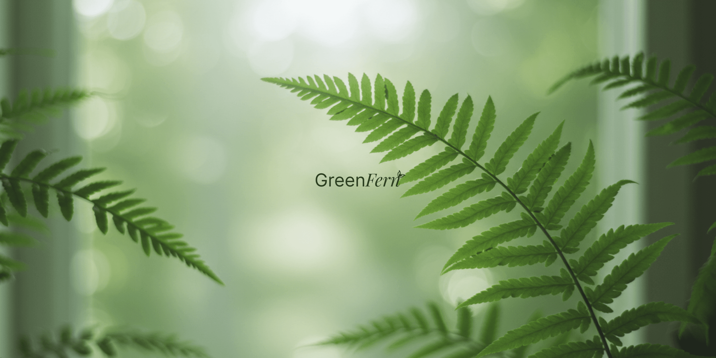 Green Fern — next project by Undream Studio