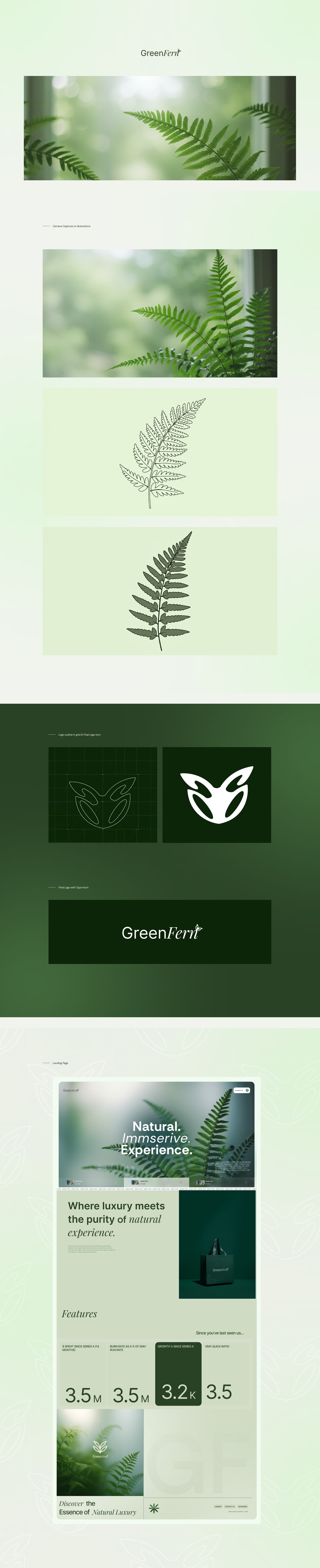 GREEN FERN website design — view 1